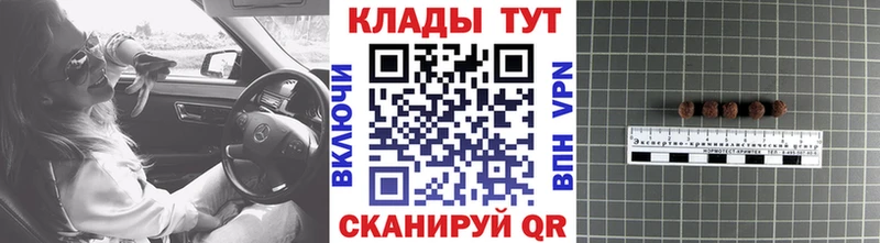 Купить наркотики цена Топки Cocaine  МЕФ  Псилоцибиновые грибы  ГАШ 
