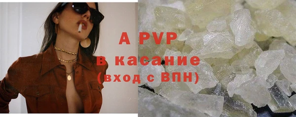 ECSTASY Михайлов