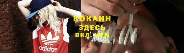ECSTASY Михайлов