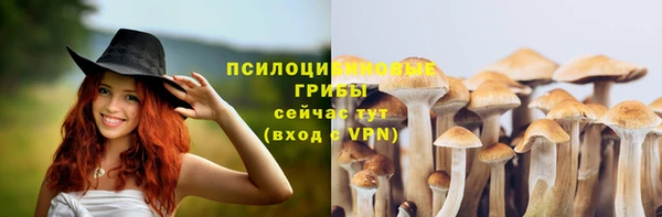 ECSTASY Михайлов