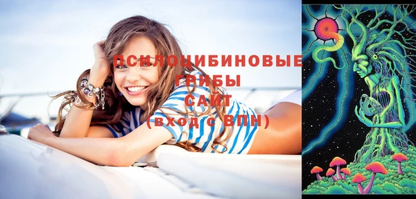 ECSTASY Михайлов