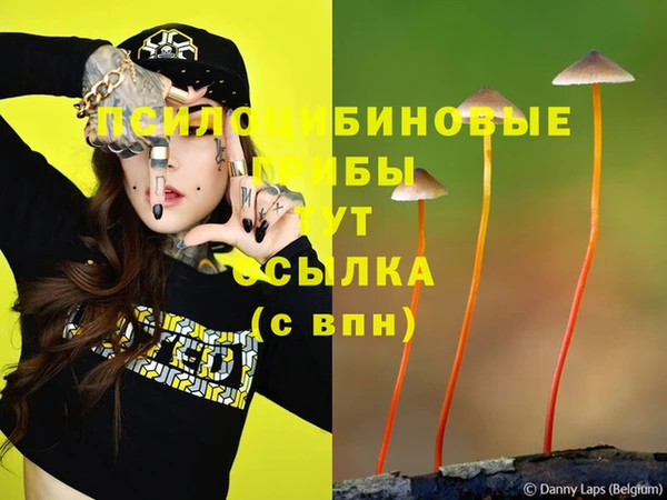 ECSTASY Михайлов