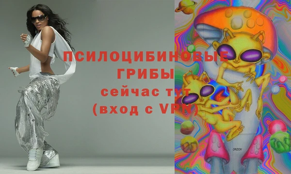 ECSTASY Михайлов
