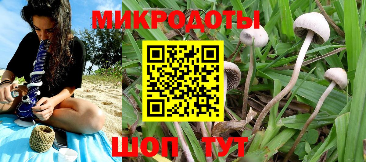 Галлюциногенные грибы прущие грибы  Псилоцибиновые грибы мухоморы  Топки  Вход с VPN 