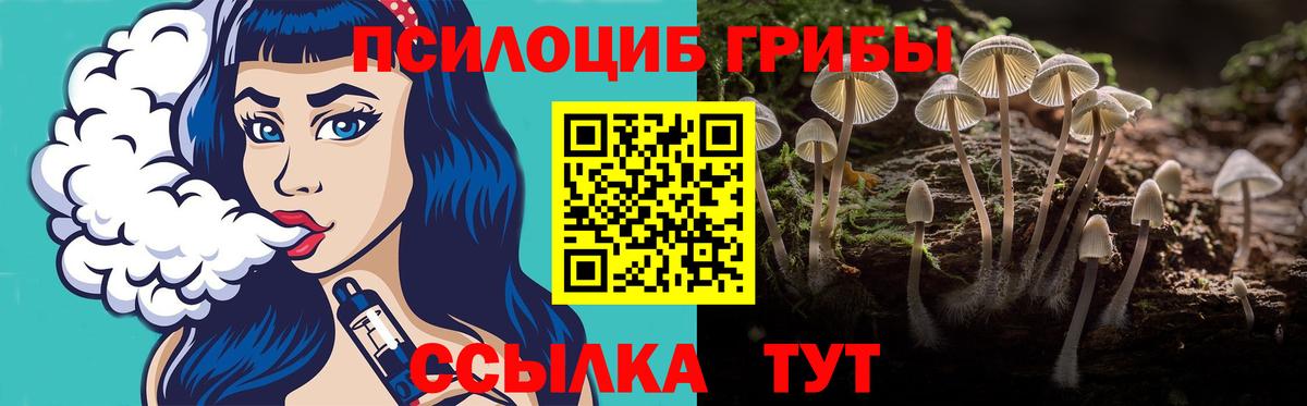 Псилоцибиновые грибы Psilocybe Топки